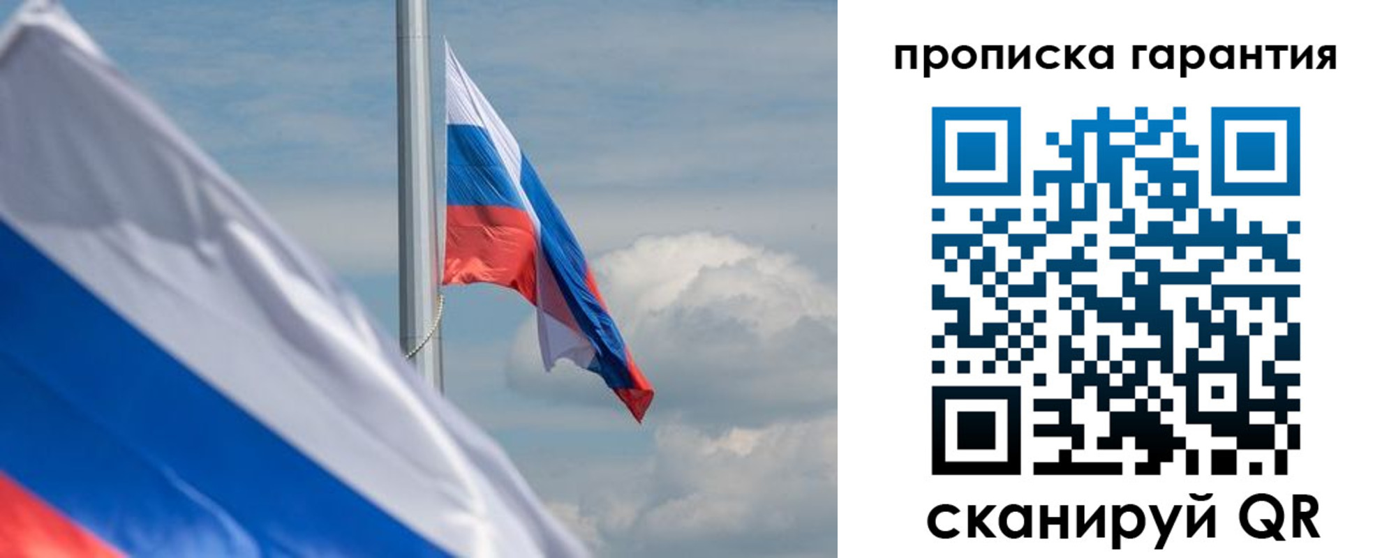 прописка поиск в Шебекино